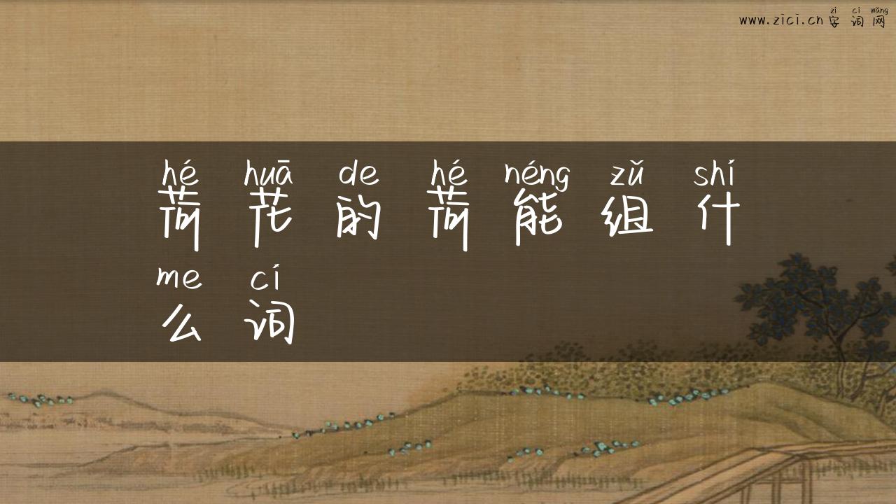 荷花的荷能组什么词