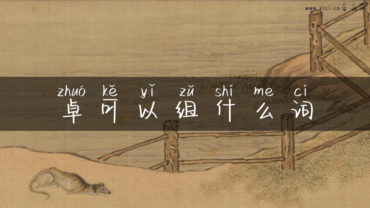 卓可以组什么词