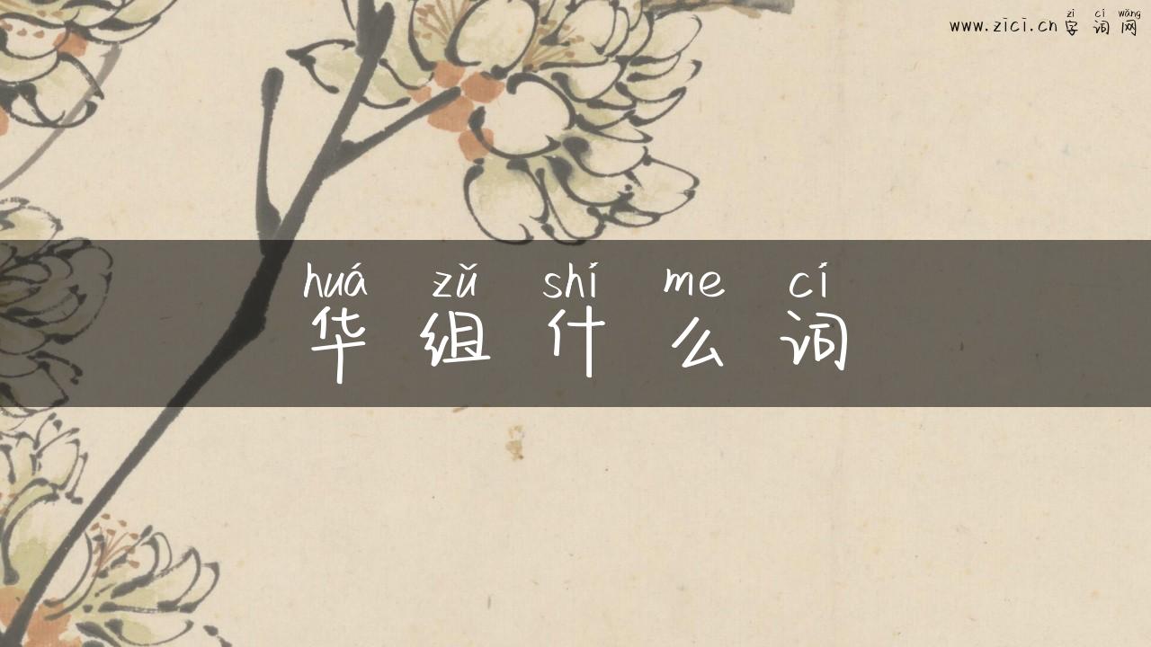 华组什么词