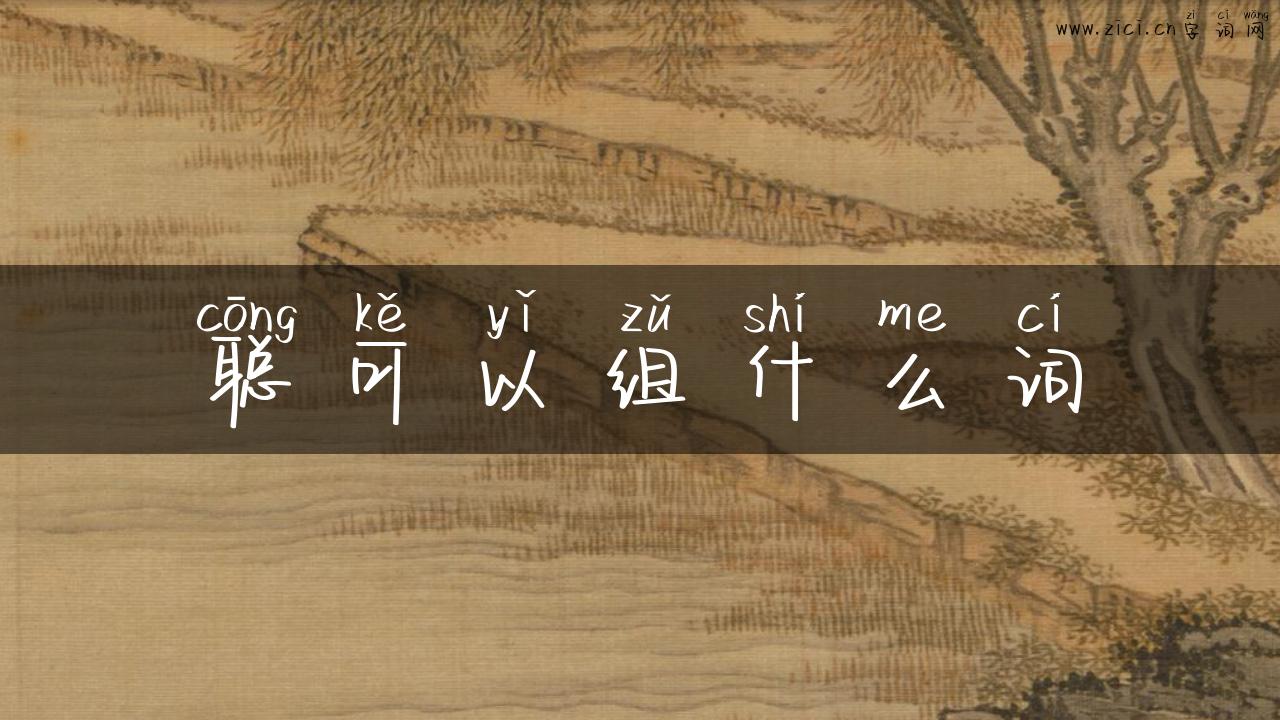 聪可以组什么词