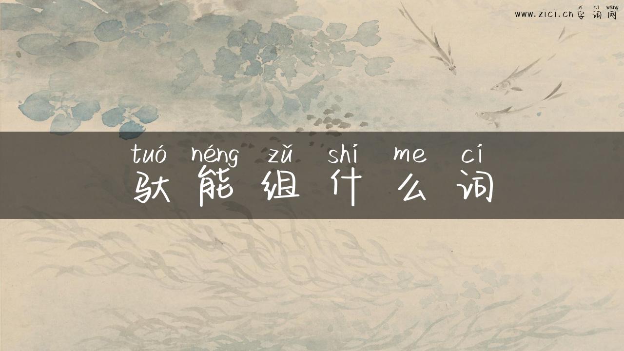 驮能组什么词