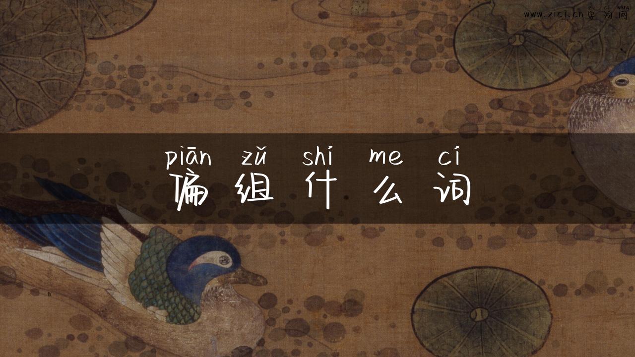 偏组什么词