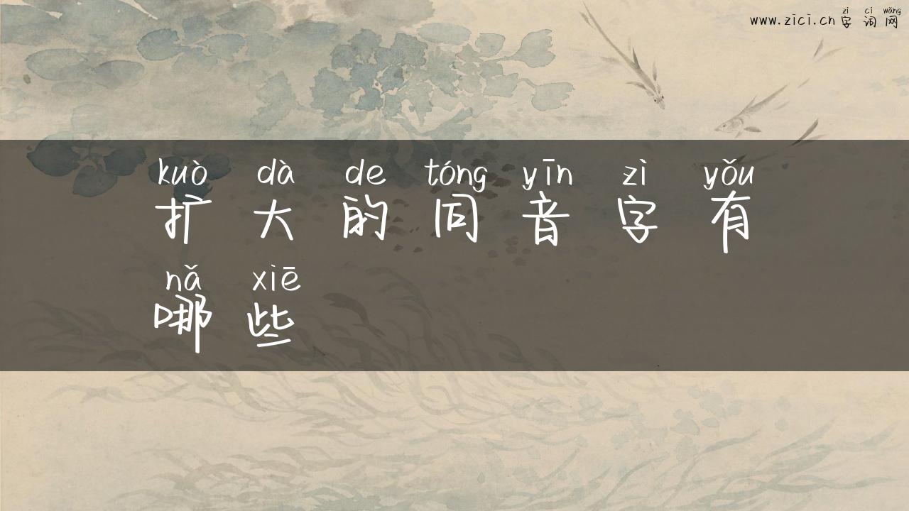 扩大的同音字有哪些