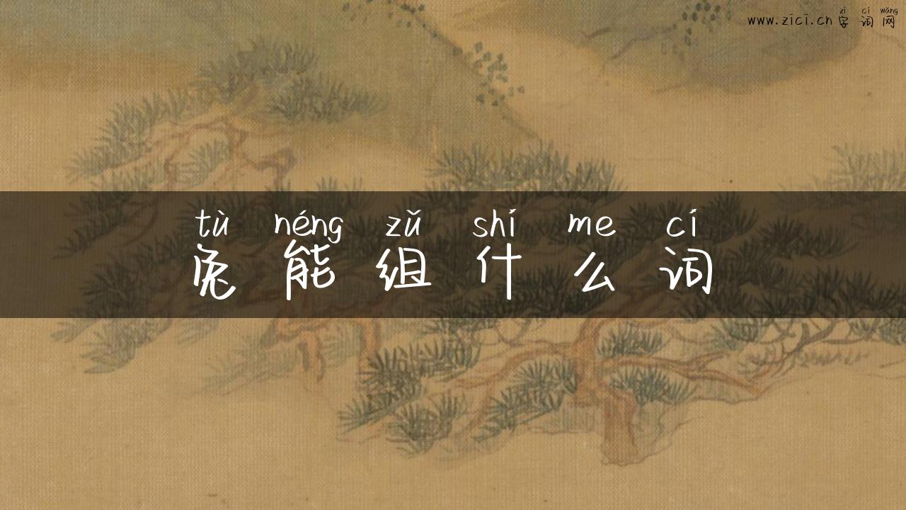 兔能组什么词