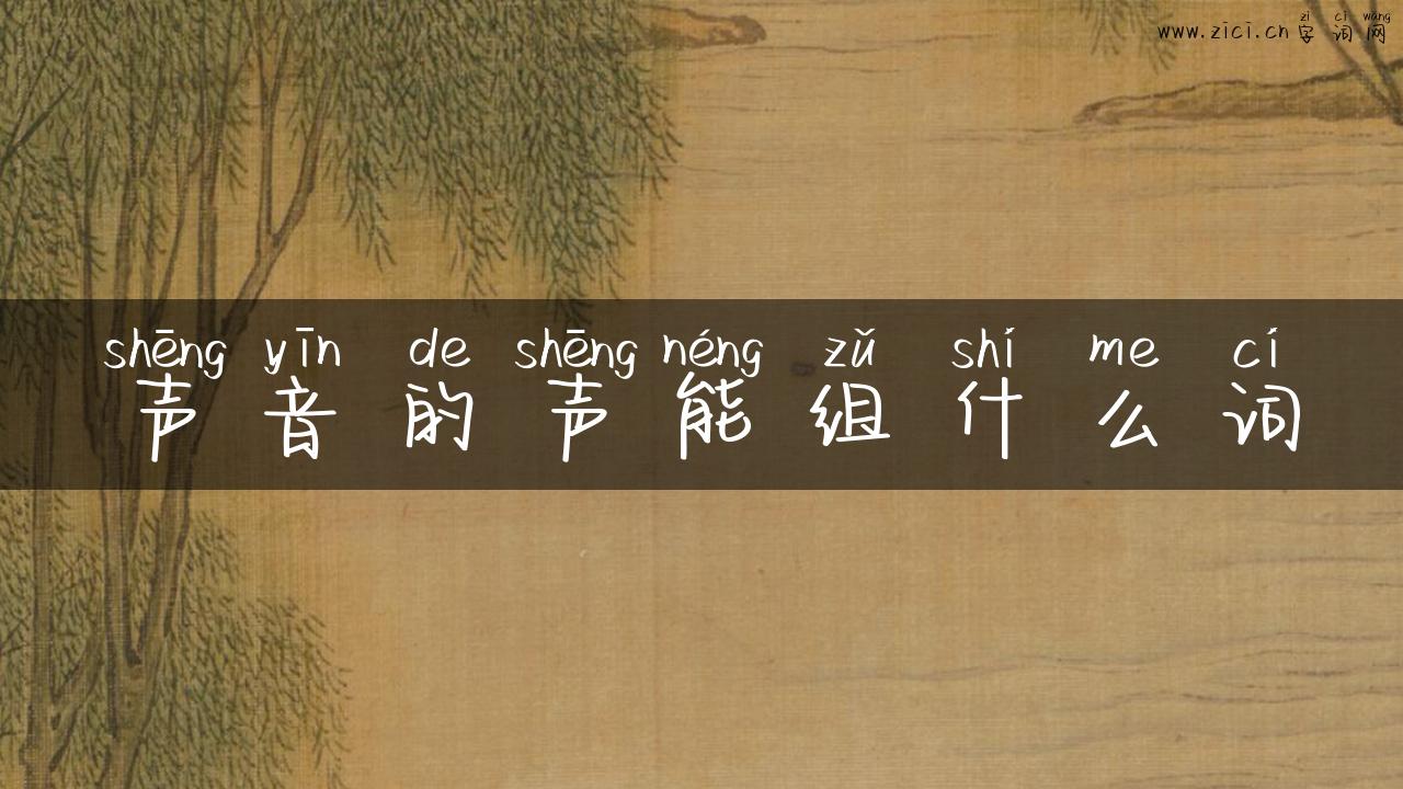 声音的声能组什么词