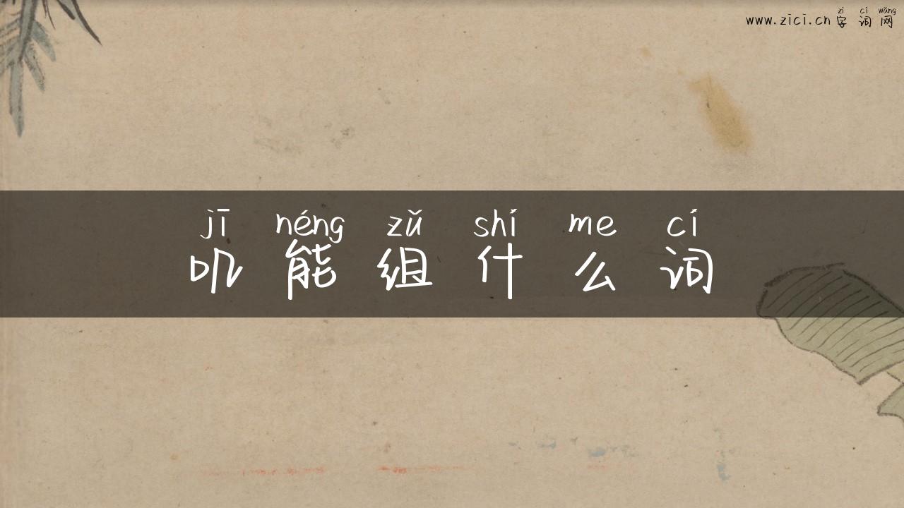 叽能组什么词