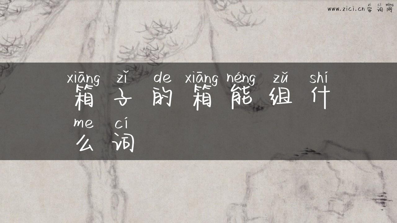 箱子的箱能组什么词