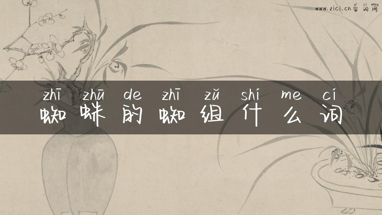 蜘蛛的蜘组什么词