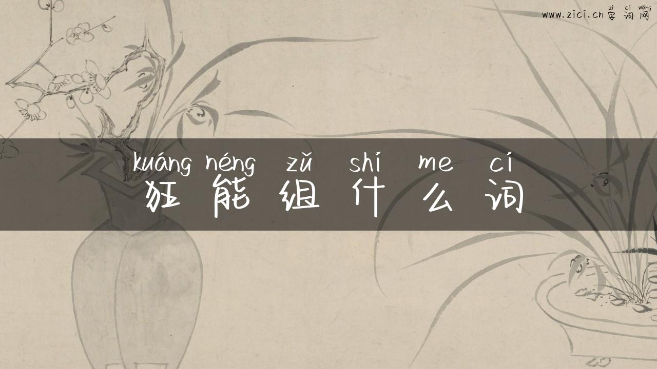 狂能组什么词