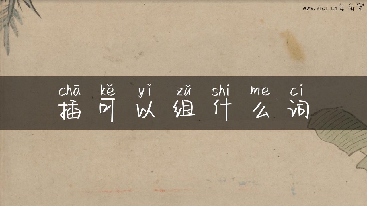 插可以组什么词