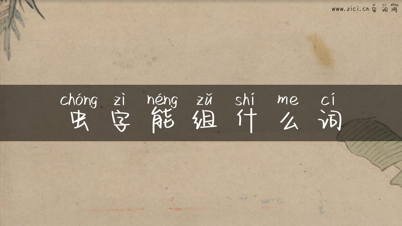 虫字能组什么词