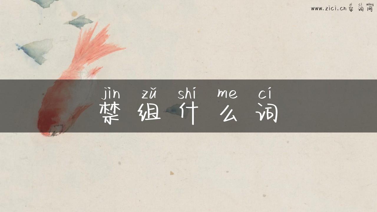 禁组什么词
