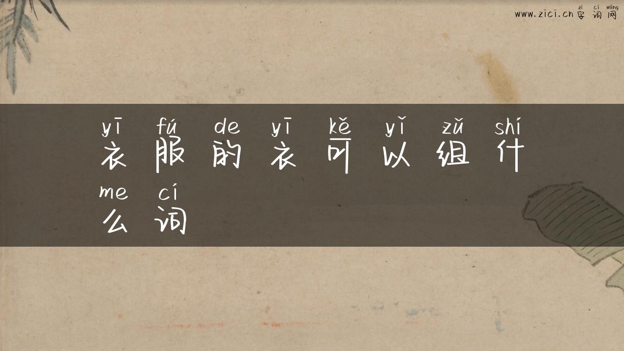 衣服的衣可以组什么词