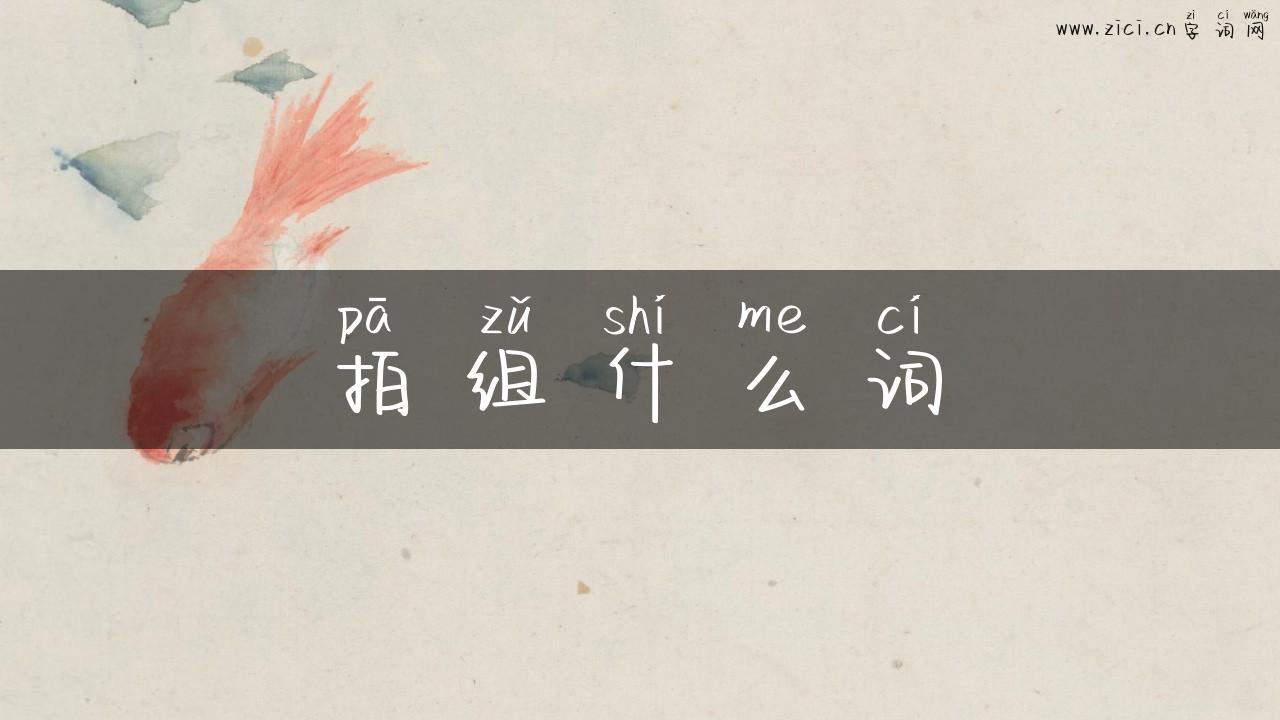 拍组什么词
