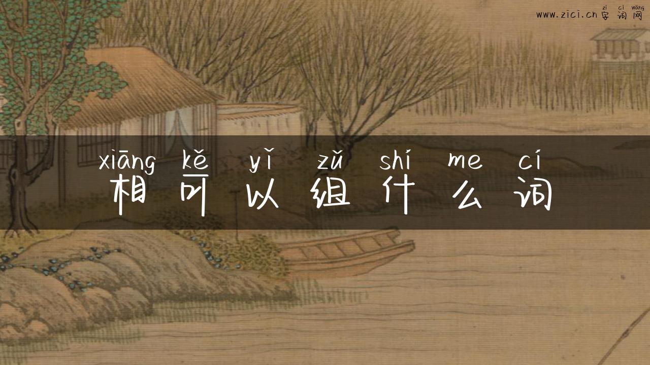 相可以组什么词
