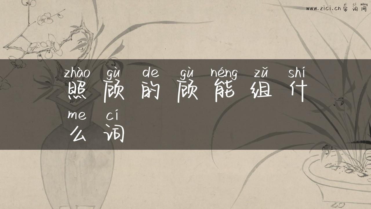 照顾的顾能组什么词