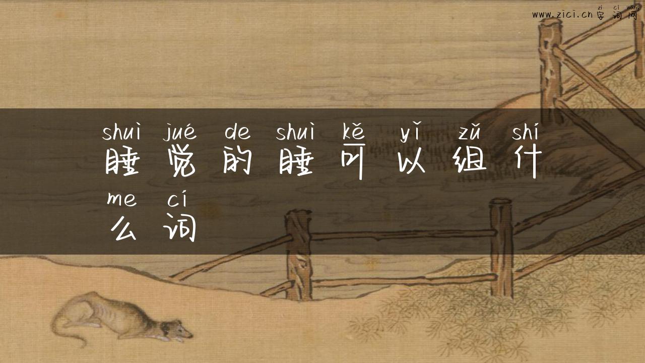 睡觉的睡可以组什么词