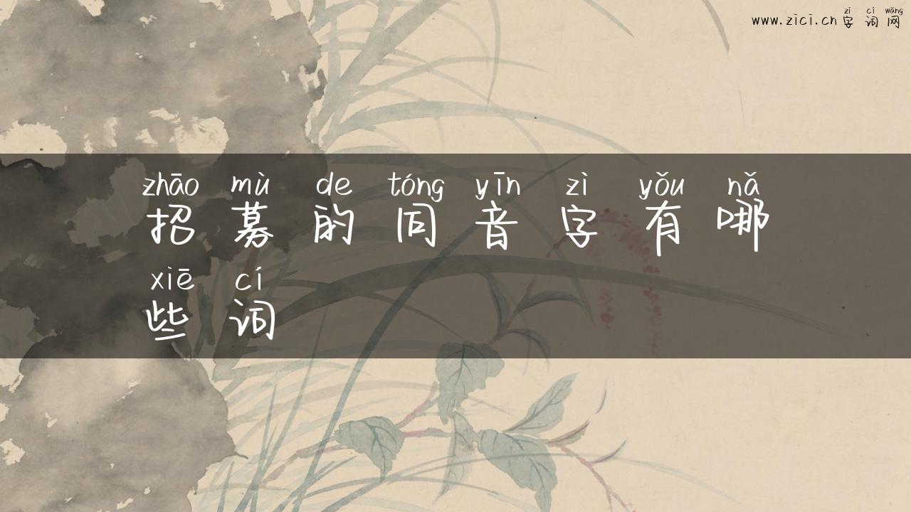 招募的同音字有哪些词