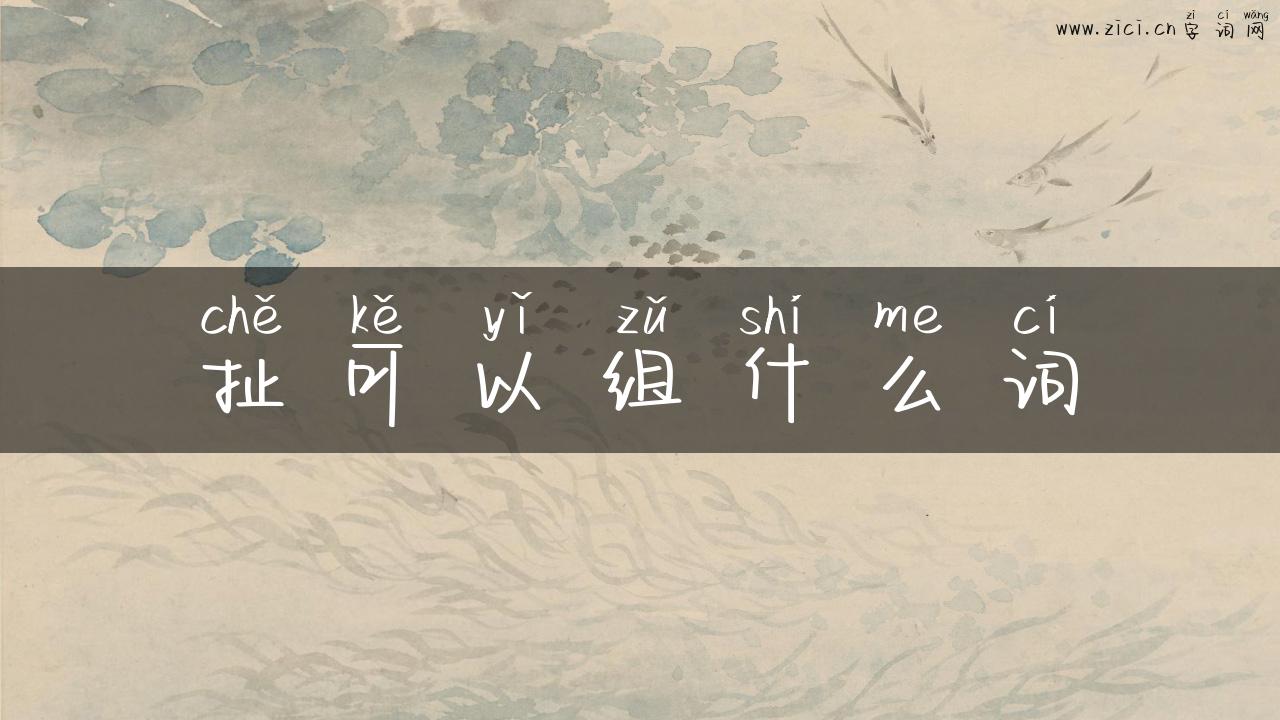 扯可以组什么词