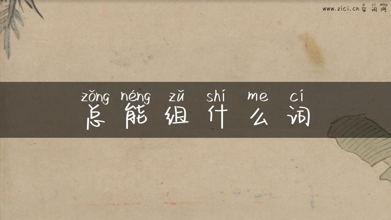 总能组什么词