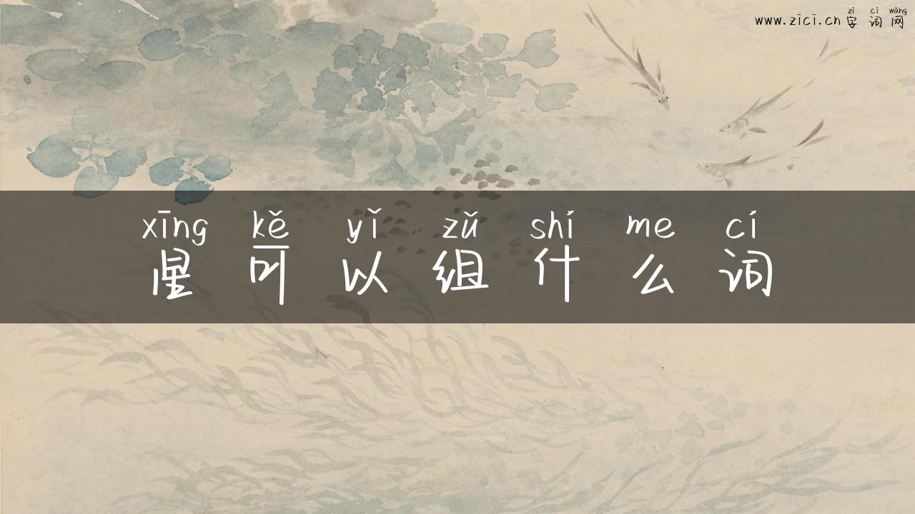 星可以组什么词