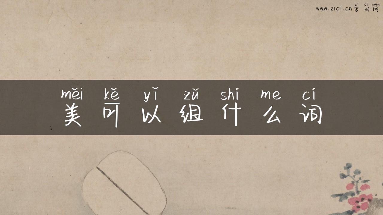 美可以组什么词