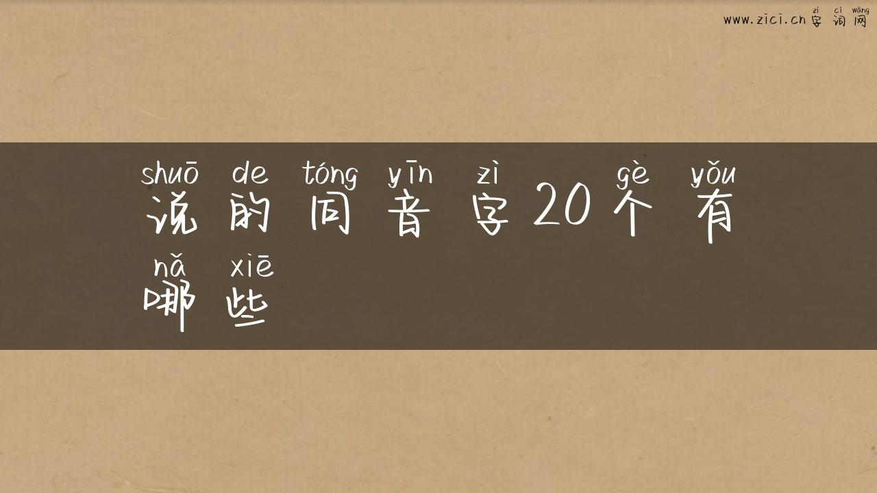 说的同音字20个有哪些