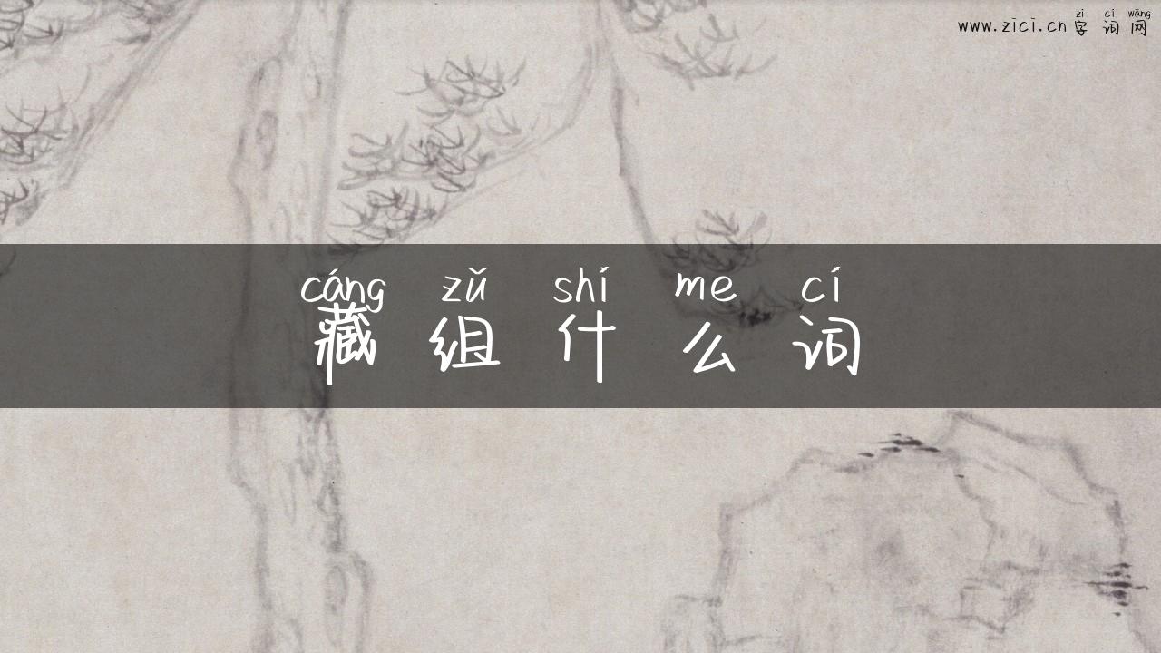藏组什么词