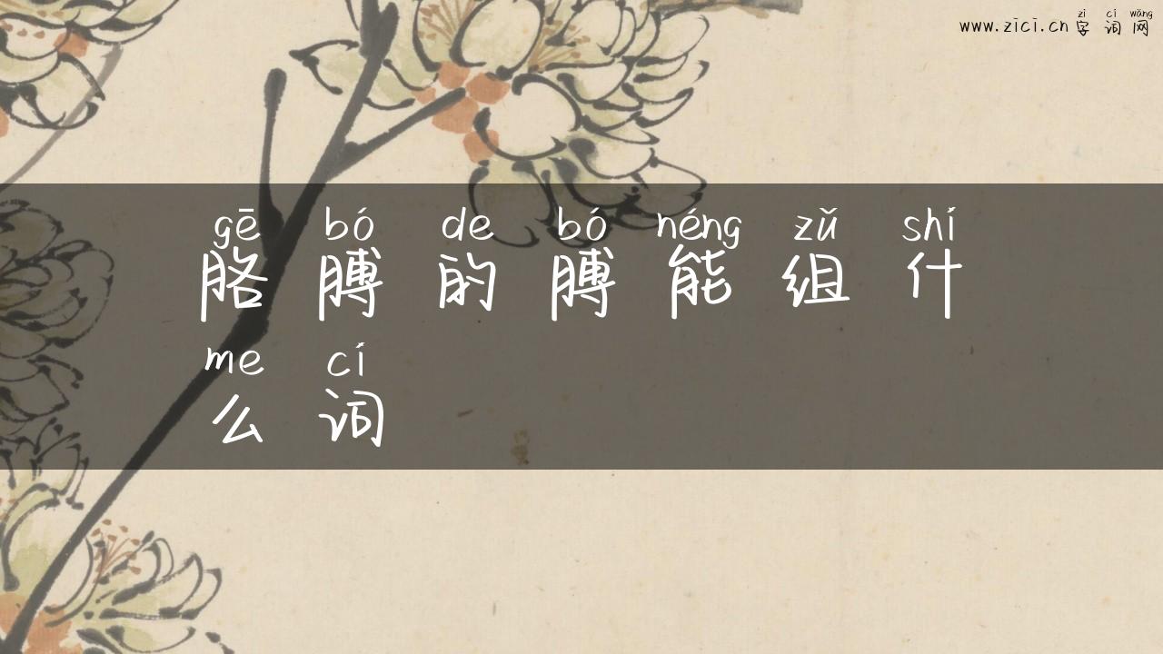 胳膊的膊能组什么词