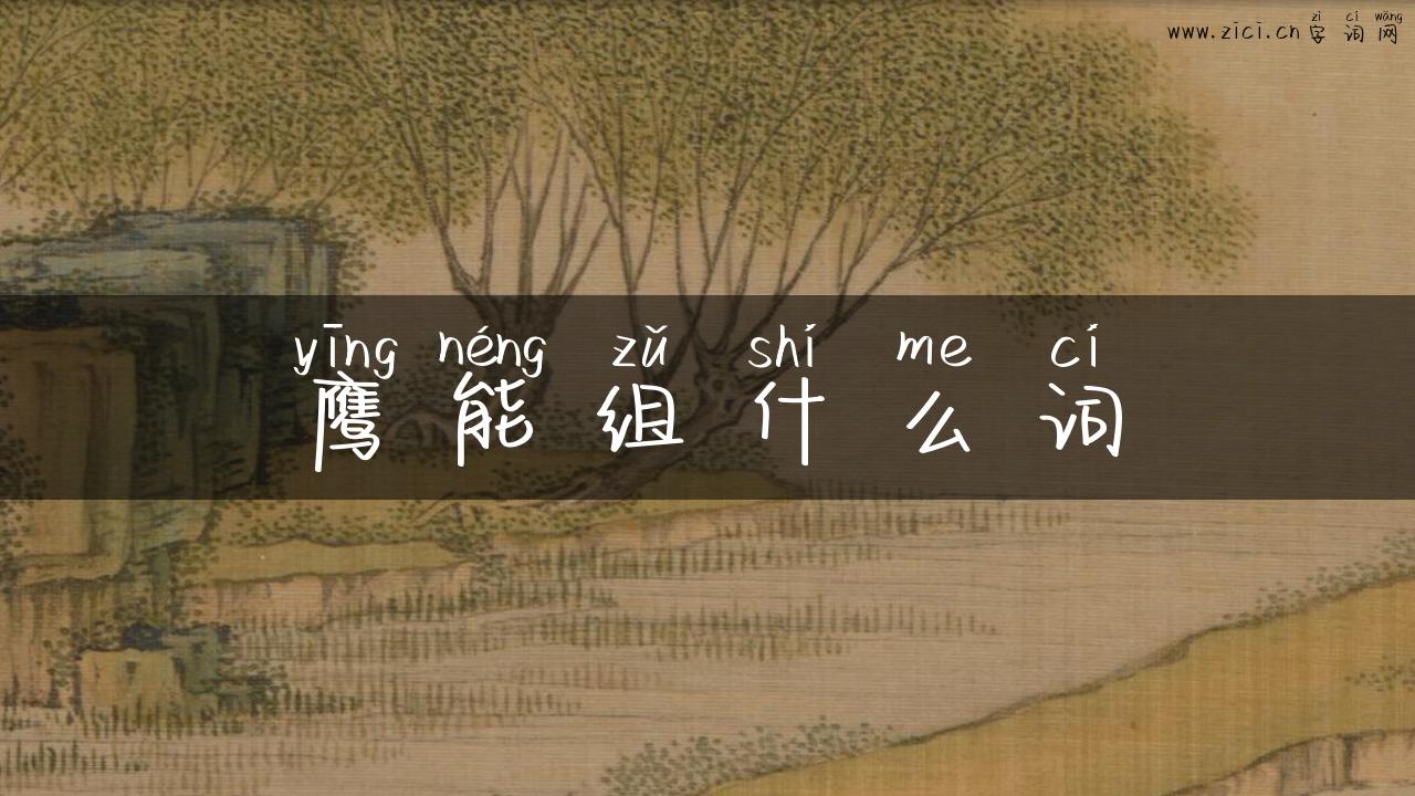 鹰能组什么词