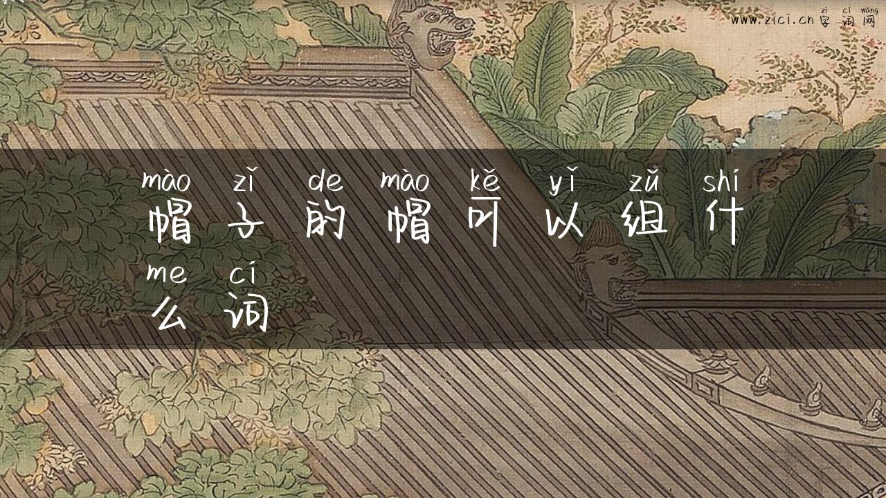 帽子的帽可以组什么词