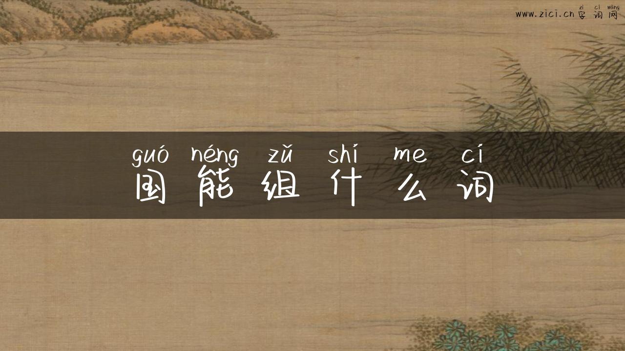 国能组什么词