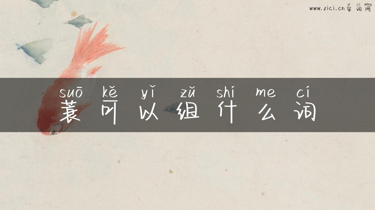 蓑可以组什么词
