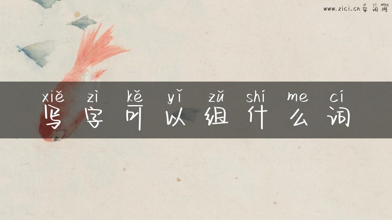 写字可以组什么词