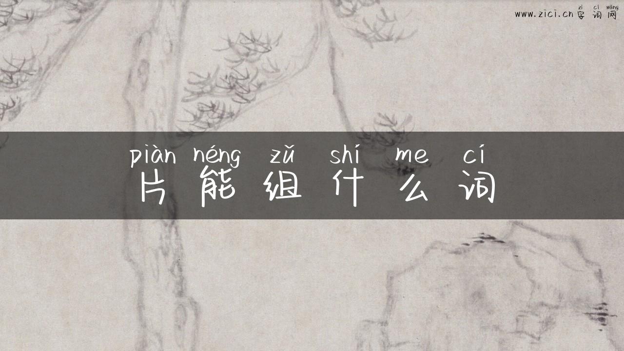 片能组什么词