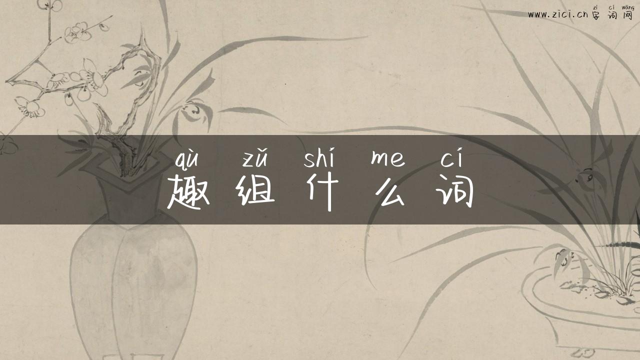 趣组什么词