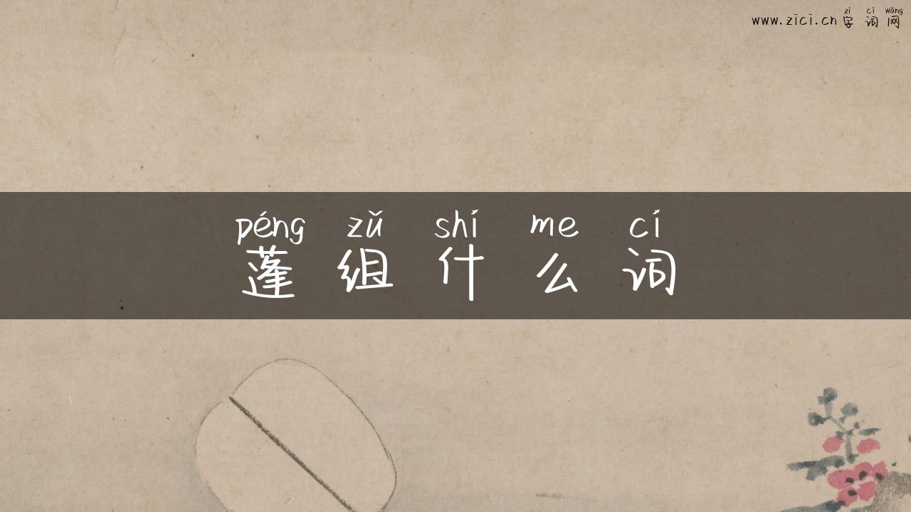 蓬组什么词