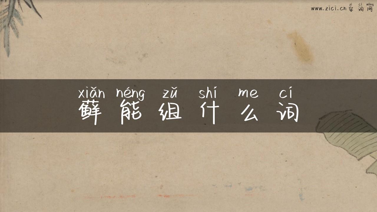 藓能组什么词