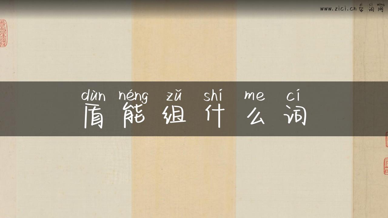盾能组什么词