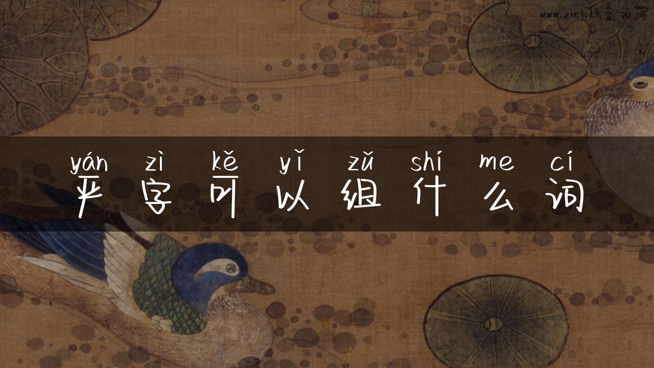 严字可以组什么词