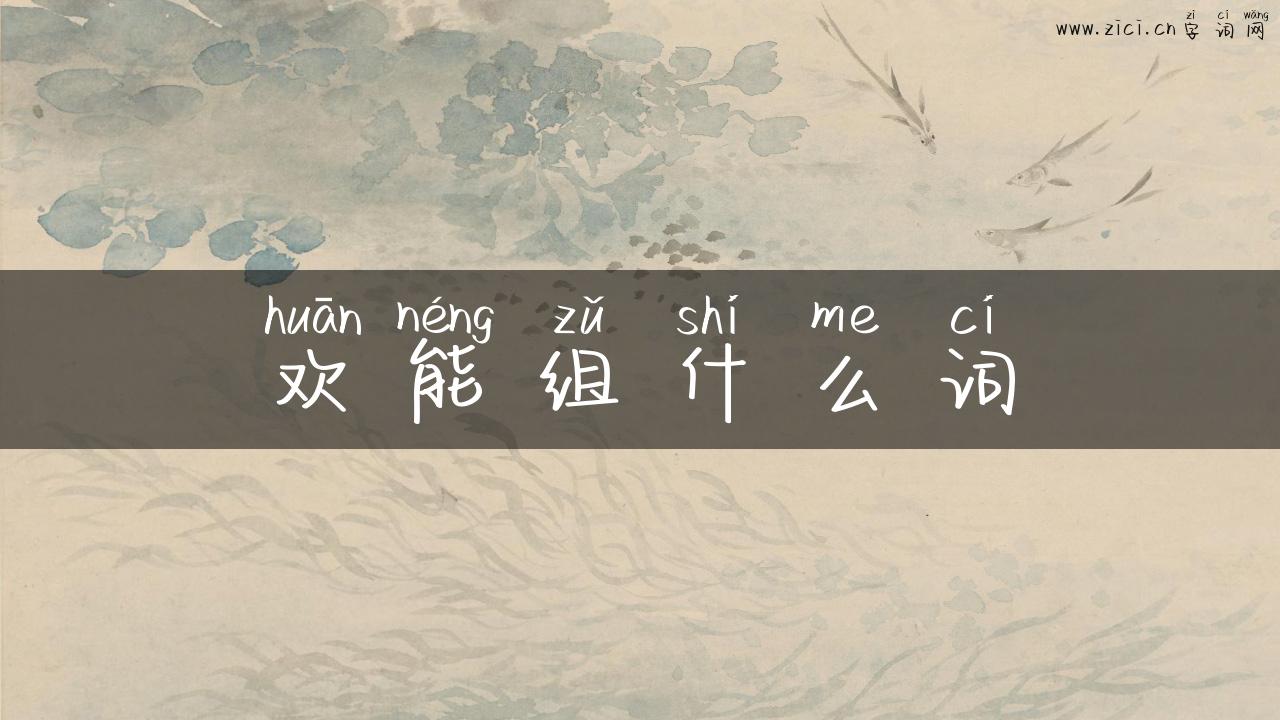 欢能组什么词