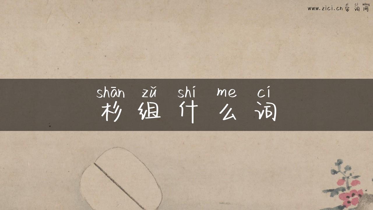 杉组什么词