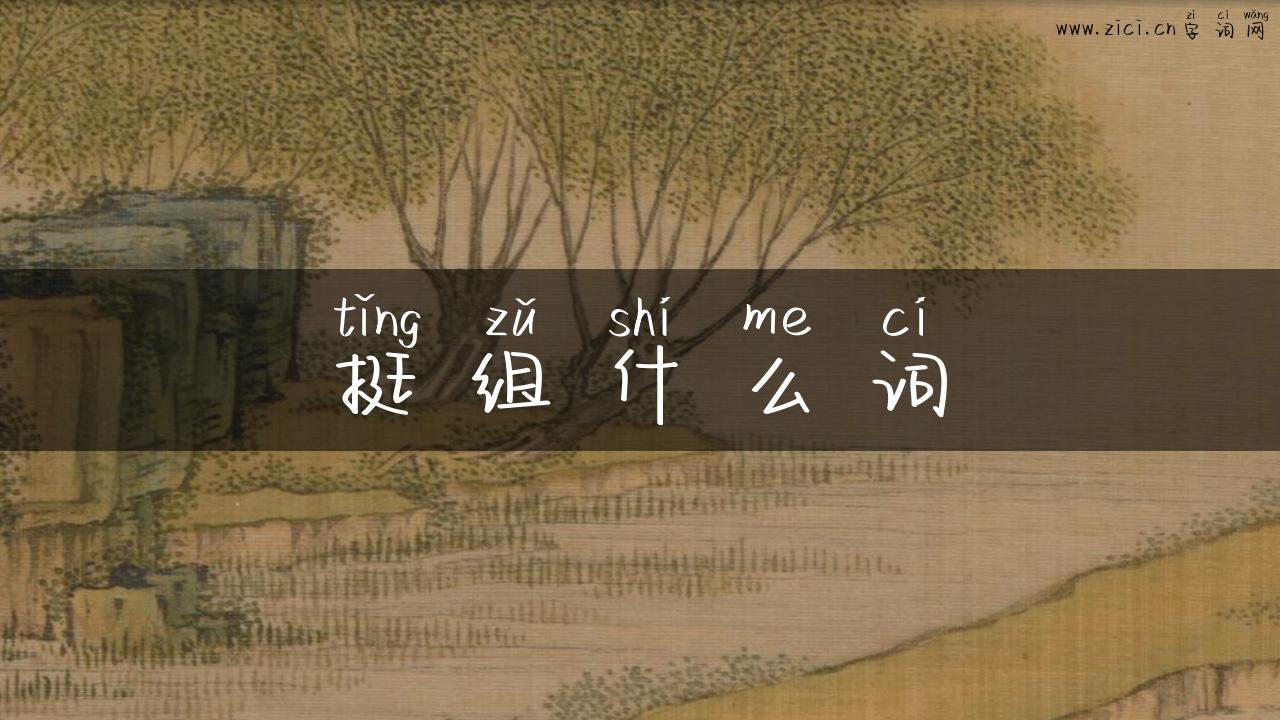 挺组什么词
