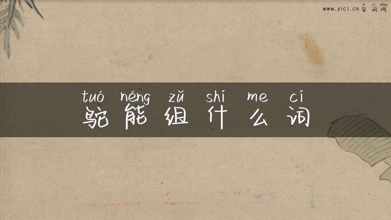 鸵能组什么词