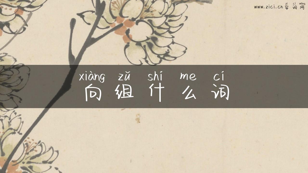 向组什么词