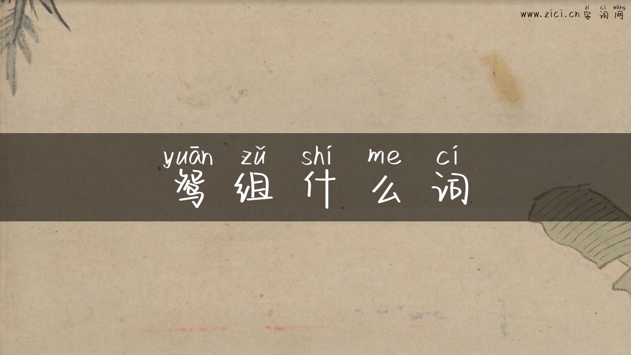 鸳组什么词