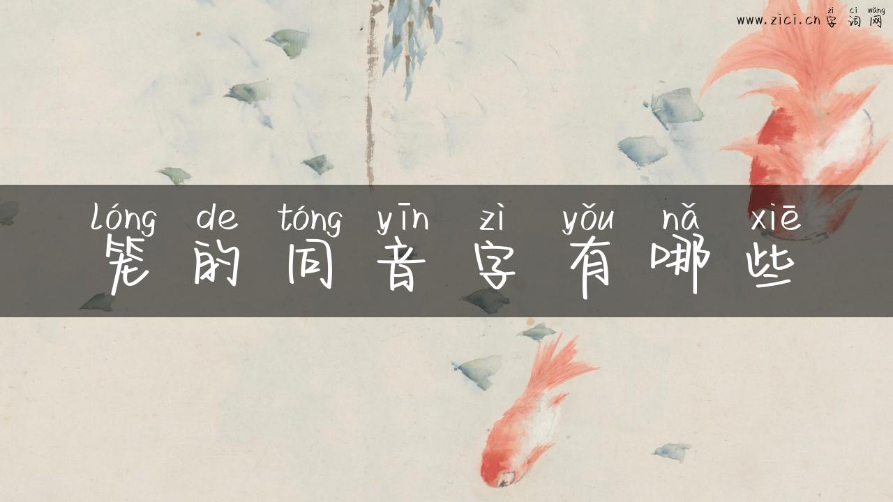 笼的同音字有哪些