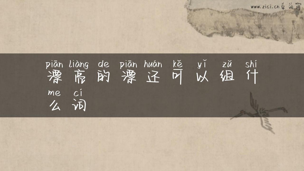 漂亮的漂还可以组什么词