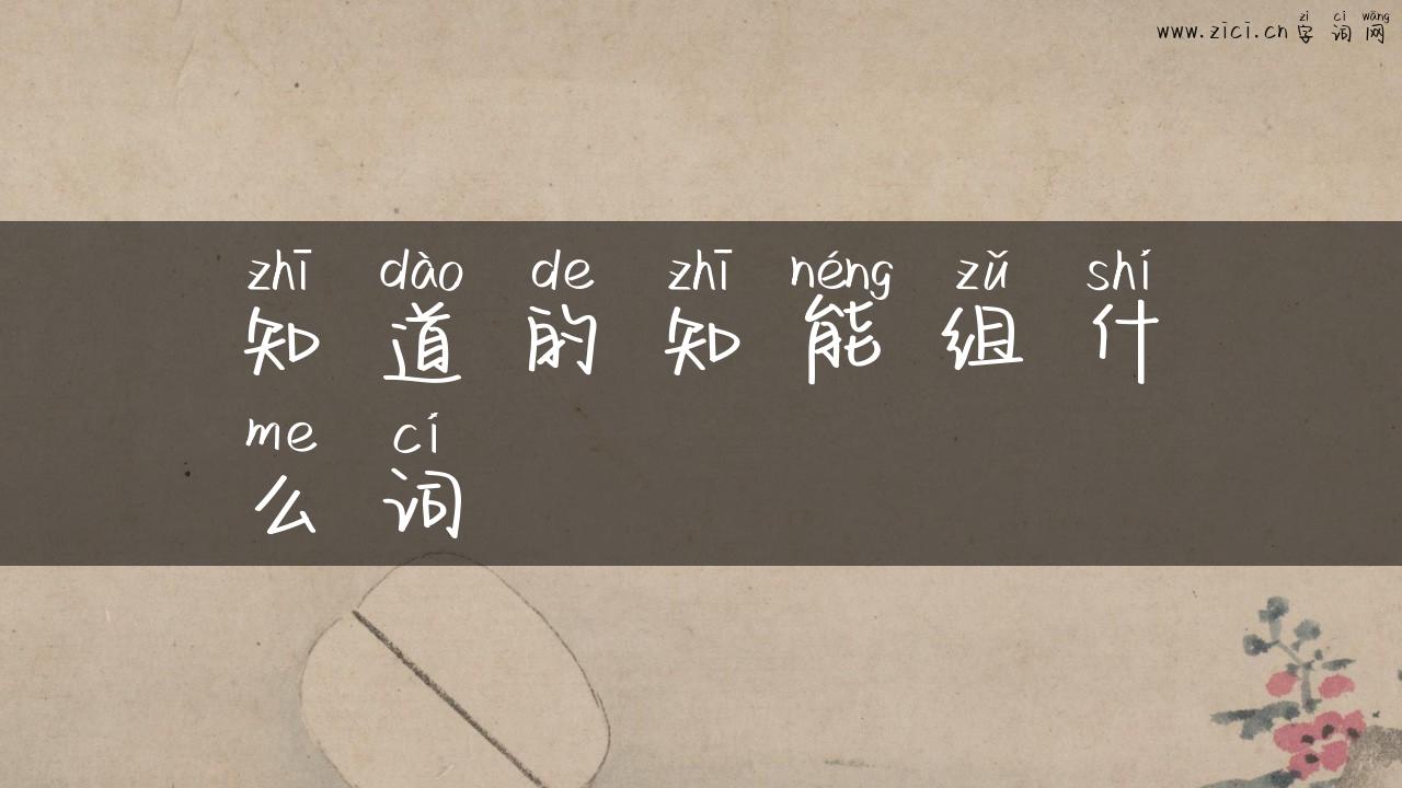 知道的知能组什么词