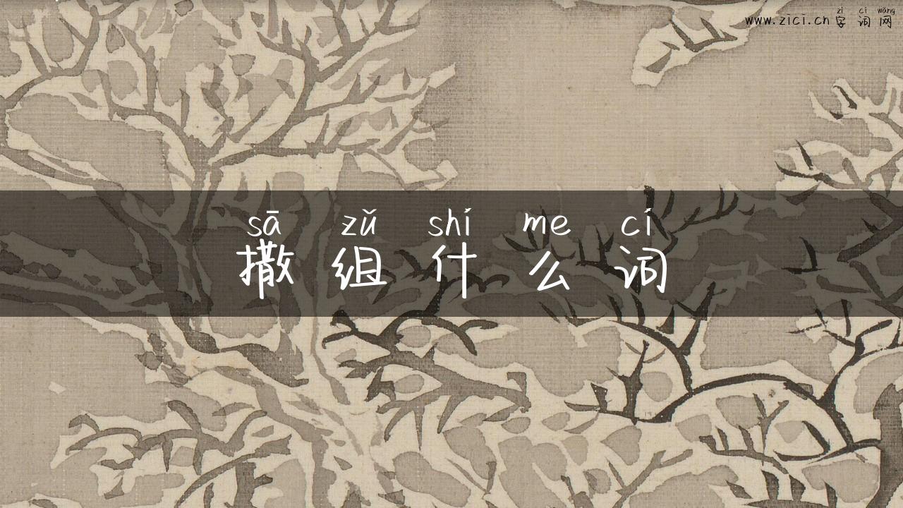 撒组什么词